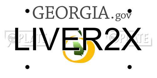 LIVER2X Georgia License Plate