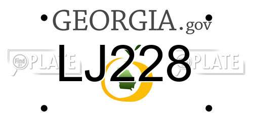 LJ228 Georgia License Plate