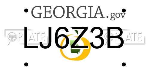 LJ6Z3B Georgia License Plate