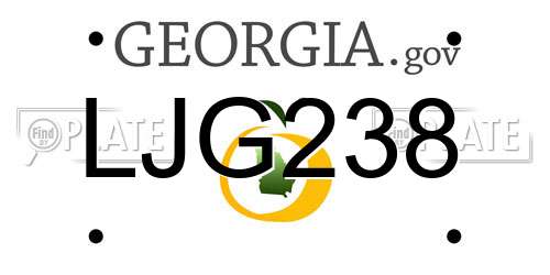 LJG238 Georgia License Plate