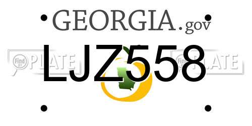 LJZ558 Georgia License Plate