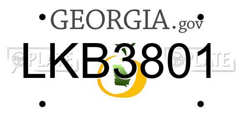 LKB3801 Georgia License Plate