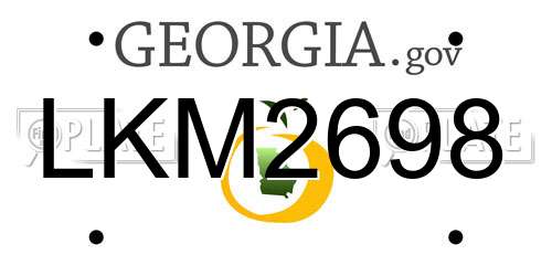 LKM2698 Georgia License Plate
