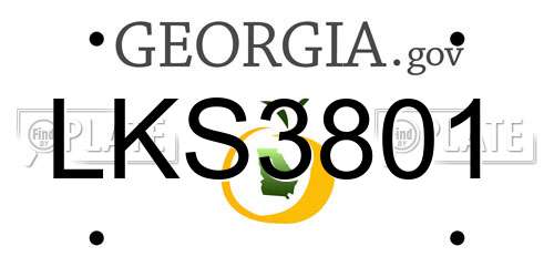 LKS3801 Georgia License Plate