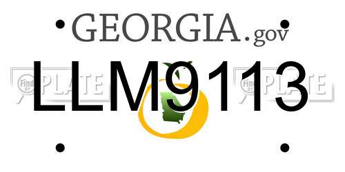 LLM9113 Georgia License Plate