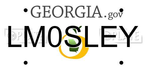 LM0SLEY Georgia License Plate
