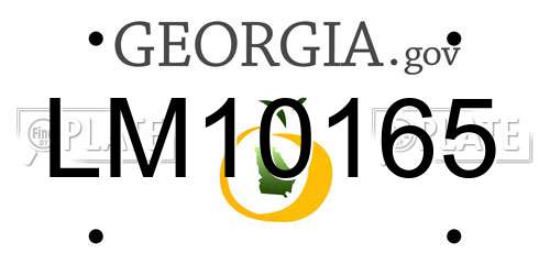 LM10165 Georgia License Plate