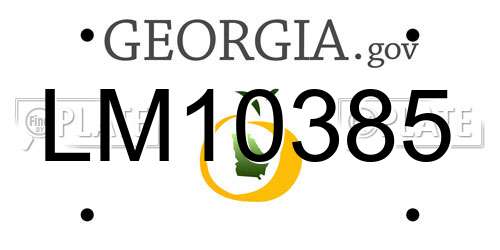 LM10385 Georgia License Plate