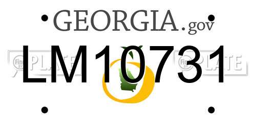 LM10731 Georgia License Plate