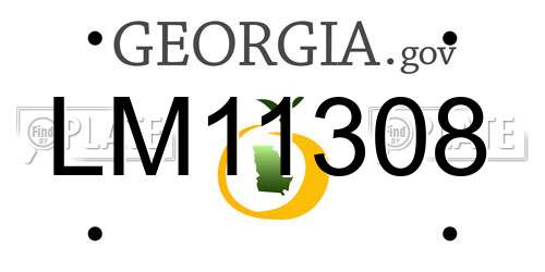 LM11308 Georgia License Plate