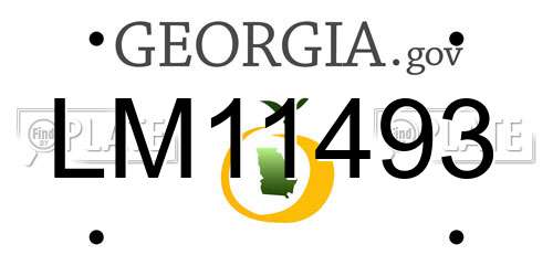 LM11493 Georgia License Plate