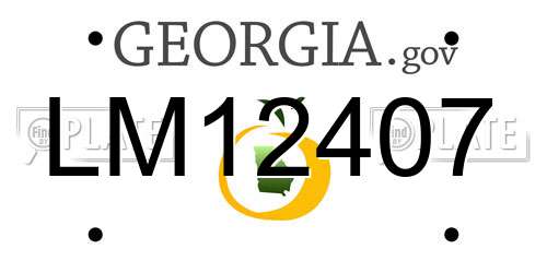 LM12407 Georgia License Plate
