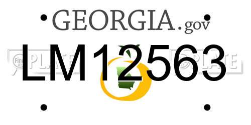 LM12563 Georgia License Plate