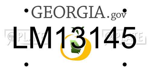 LM13145 Georgia License Plate
