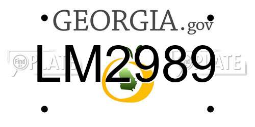 LM2989 Georgia License Plate