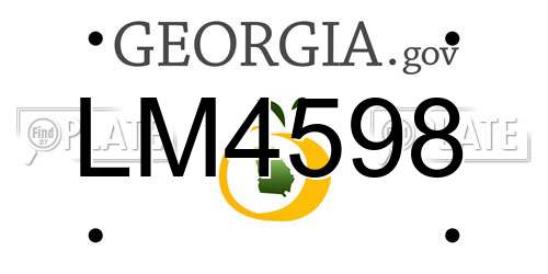 LM4598 Georgia License Plate