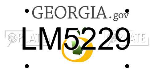 LM5229 Georgia License Plate