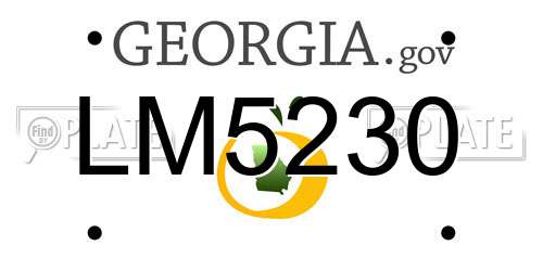 LM5230 Georgia License Plate