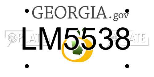 LM5538 Georgia License Plate