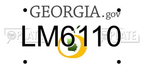 LM6110 Georgia License Plate