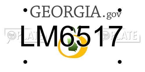 LM6517 Georgia License Plate