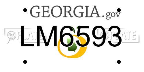 LM6593 Georgia License Plate