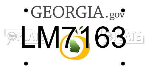 LM7163 Georgia License Plate