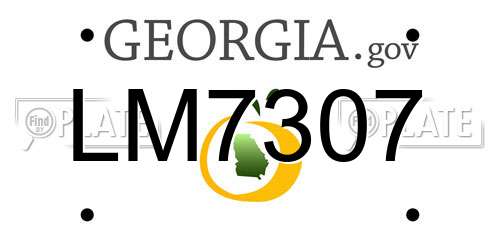 LM7307 Georgia License Plate