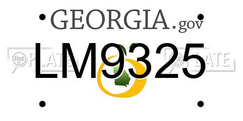LM9325 Georgia License Plate