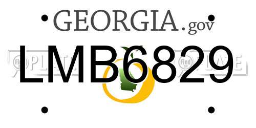 LMB6829 Georgia License Plate