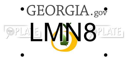 LMN8 Georgia License Plate