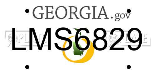 LMS6829 Georgia License Plate