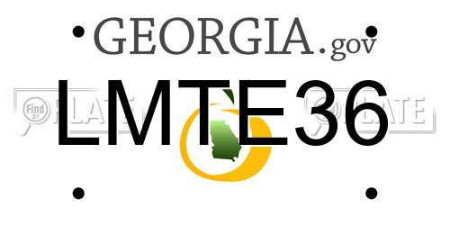 LMTE36 Georgia License Plate
