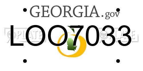 LOO7033 Georgia License Plate