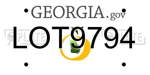 LOT9794 Georgia License Plate