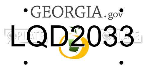 LQD2033 Georgia License Plate
