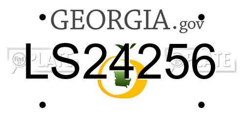 LS24256 Georgia License Plate