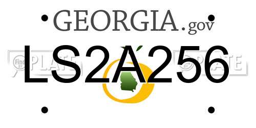 LS2A256 Georgia License Plate