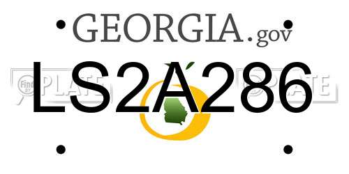 LS2A286 Georgia License Plate