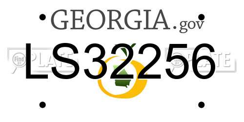 LS32256 Georgia License Plate