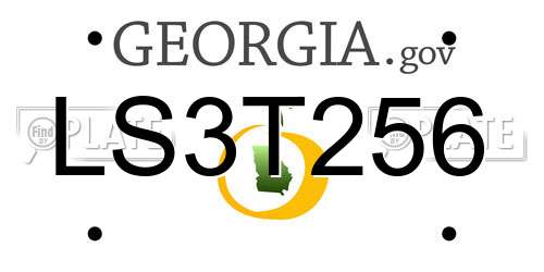 LS3T256 Georgia License Plate
