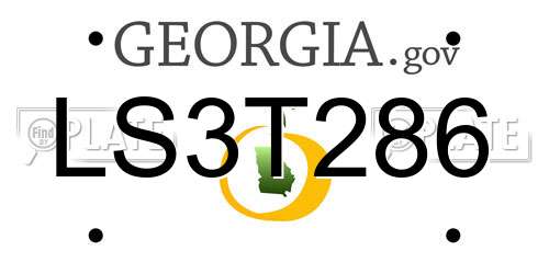LS3T286 Georgia License Plate