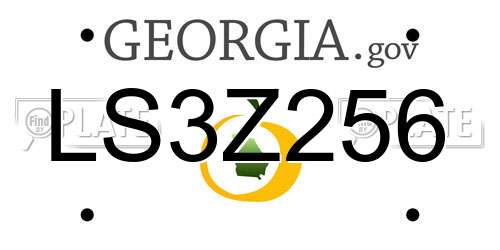 LS3Z256 Georgia License Plate