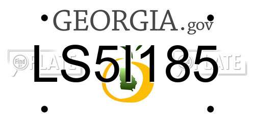 LS5I185 Georgia License Plate