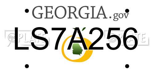 LS7A256 Georgia License Plate