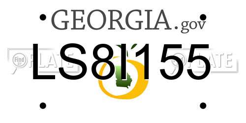 LS8I155 Georgia License Plate