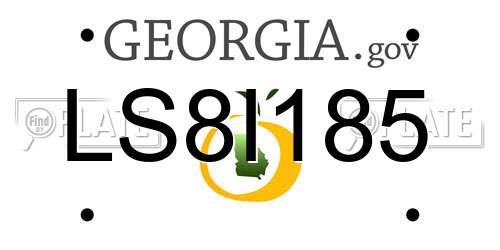 LS8I185 Georgia License Plate