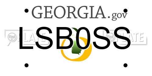 LSB0SS Georgia License Plate