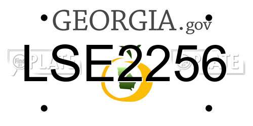 LSE2256 Georgia License Plate