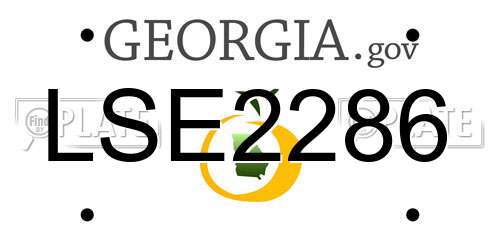 LSE2286 Georgia License Plate